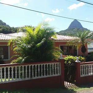Cocoa Pod 2*, Soufriere Saint Lucia